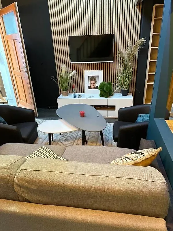 Apartment Ville/Vieille Ville Appartement Climatise Au Calme Annecy France